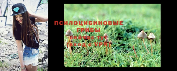 MESCALINE Арсеньев