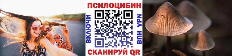 Псилоцибиновые грибы Magic Shrooms  Тарко-Сале 